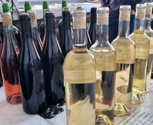В Асеновград стартира конкурсът 