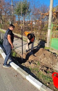 Кампания на община Асеновград за безплатно предоставяне на дървета